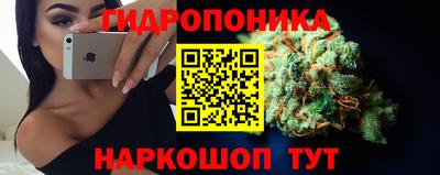 марки lsd Новозыбков