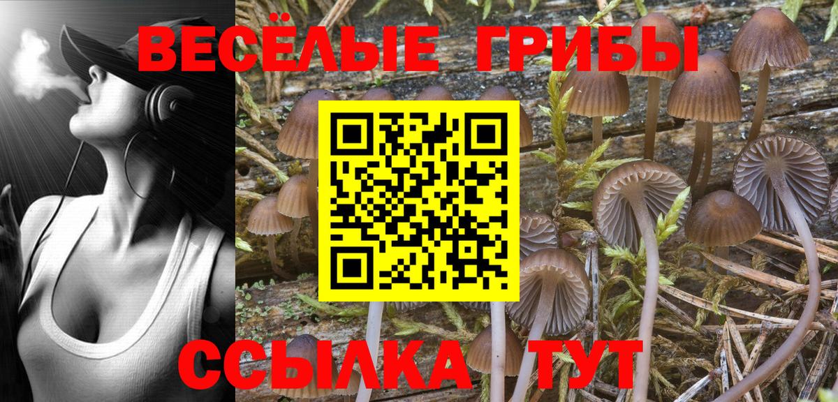 Псилоцибиновые грибы прущие грибы Туймазы