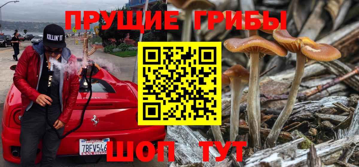 Туймазы  Галлюциногенные грибы GOLDEN TEACHER  сколько стоит  Вход с VPN 
